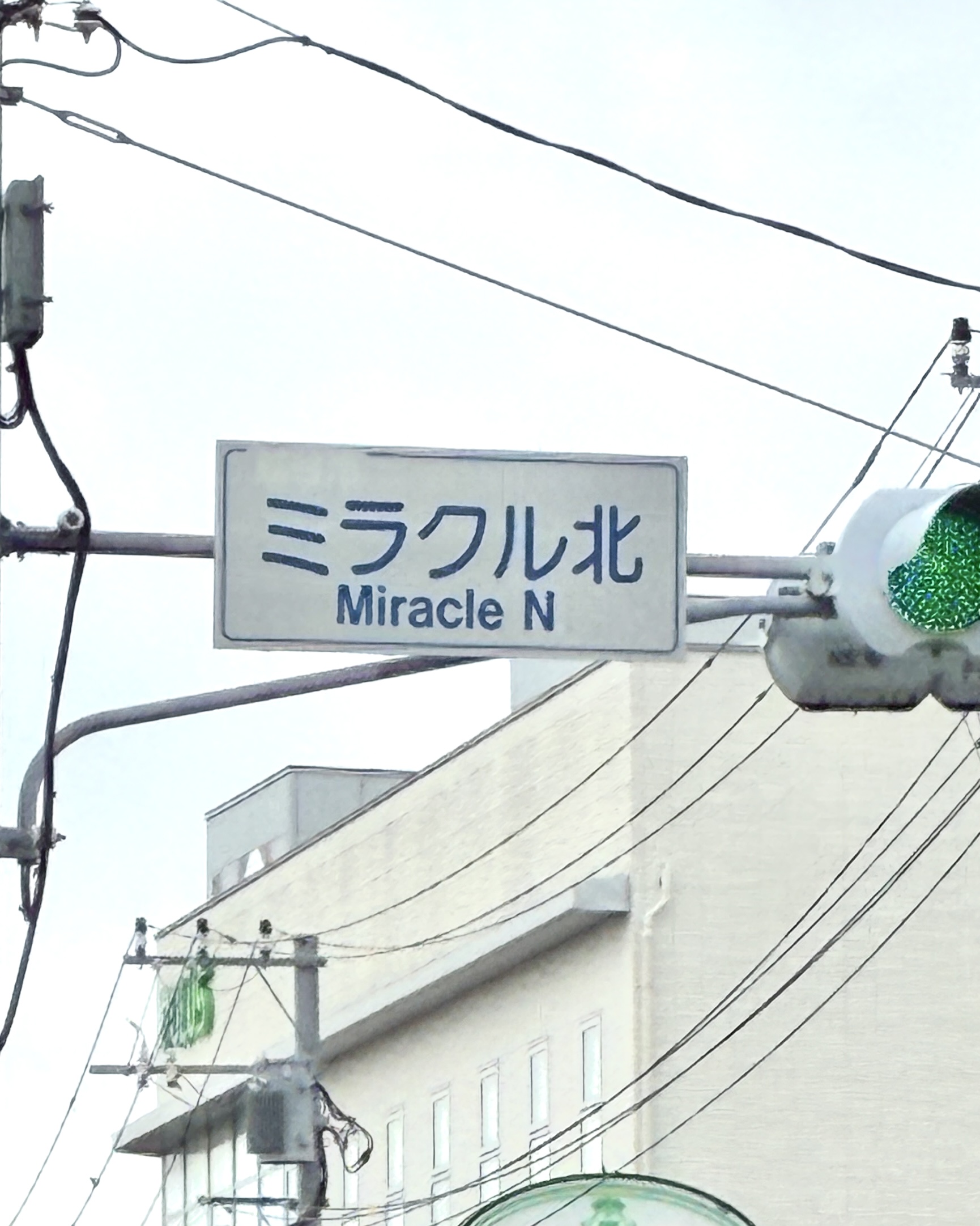 カケスが添えた画像