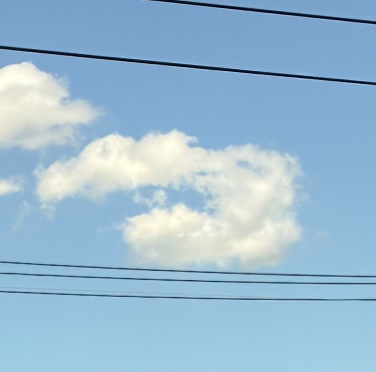 カケスが添えた画像